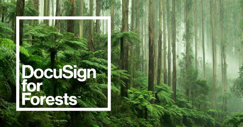docusign for forests