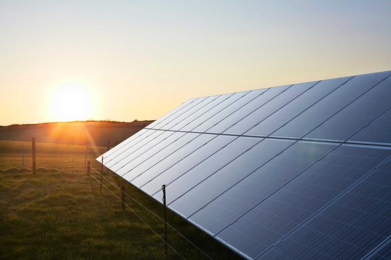Un conjunto de paneles solares captan energía del sol