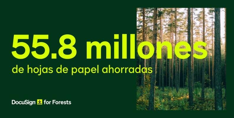 Estadística de DocuSign for Forests: 55.8 millones de hojas de papel ahorradas