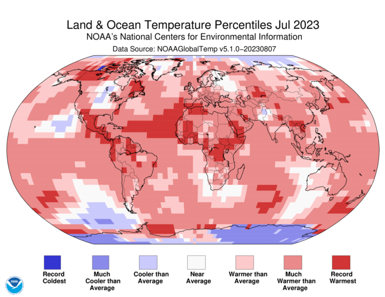 Land and Ocean Temperature Percentiles July 2023