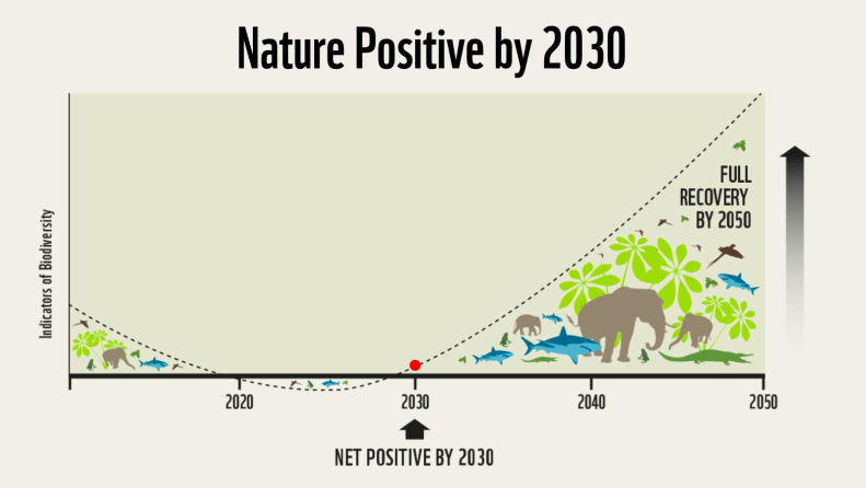 Nature Positive by 2030 グラフ