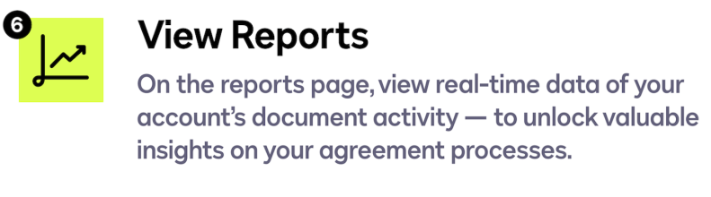 View Reports