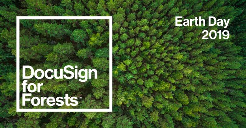 three-ways-you-can-help-save-our-forests-on-earth-day