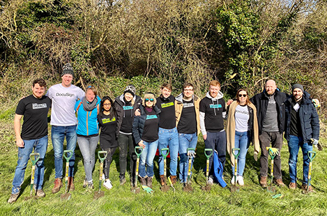 Twelve DocuSign employees wearing DocuSign IMPACT t-shirts posing for a photo during a tree-planting volunteer event