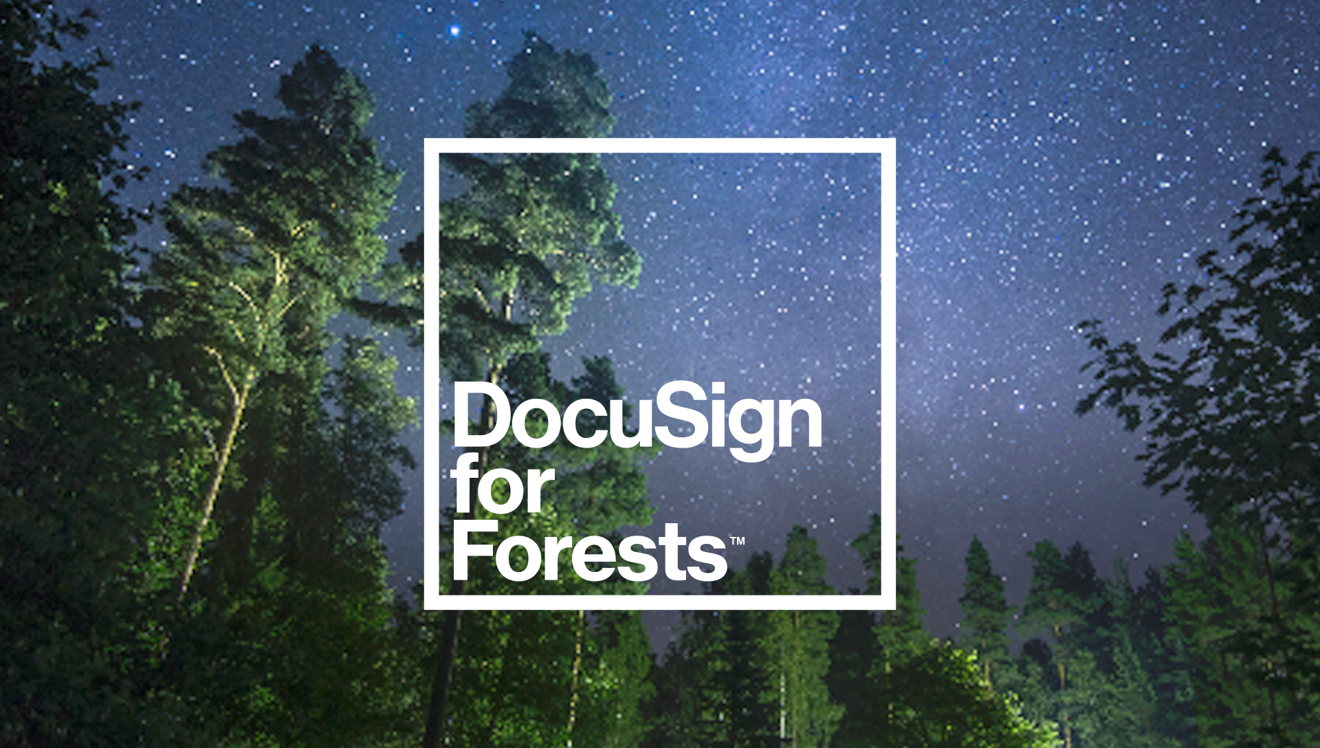 Imagem fixa DocuSign for Forests